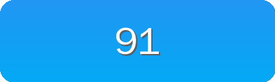 91 Logo